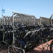 Texel, het fietsgekke eiland